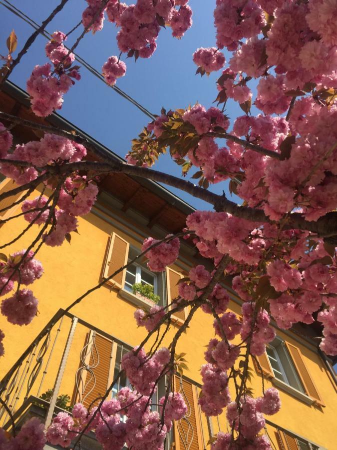 Liberty Room And Breakfast Borgo Val di Taro Luaran gambar